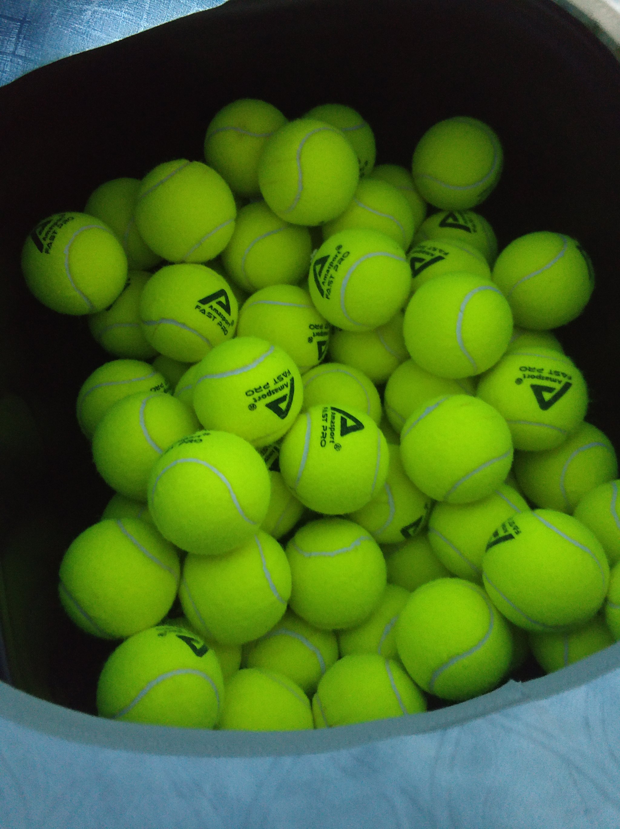 可以清楚地 可以清楚地